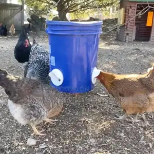 Automatic Chicken Feeders No Waste Poultry Feeder Ports