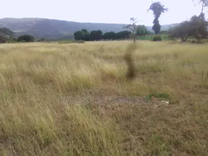 Makuyu Mananja