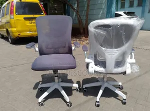 Executive Office Chair While/Gray