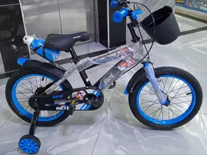 Kids Size 12 Bike