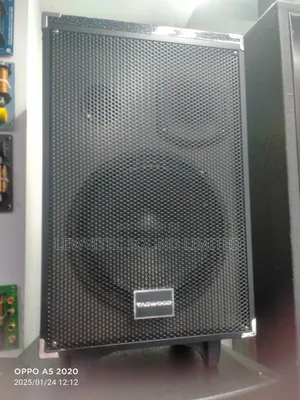 Tagwood 12A Speaker