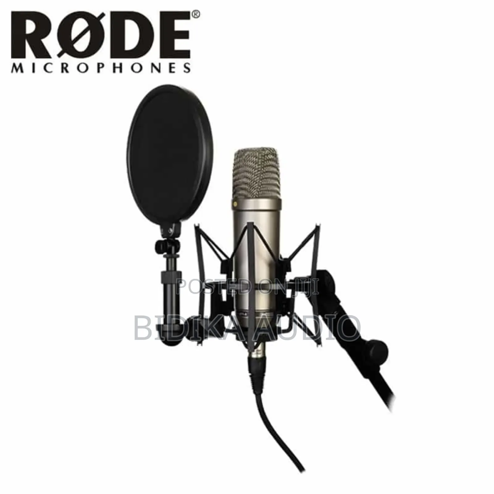 Brand New Studio Microphone