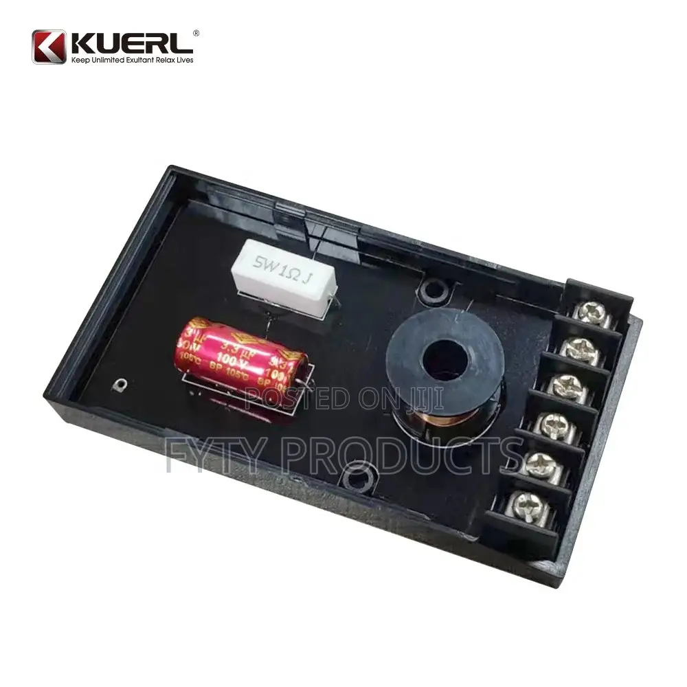 2 Way Professional Car Audio Frequency Crossover Filter