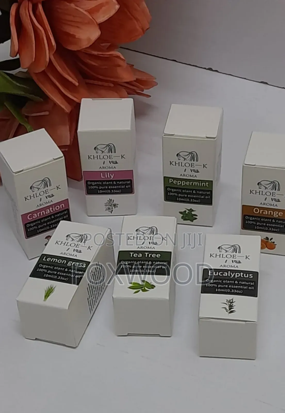 10pcs Flavors Essential Oils 10ml