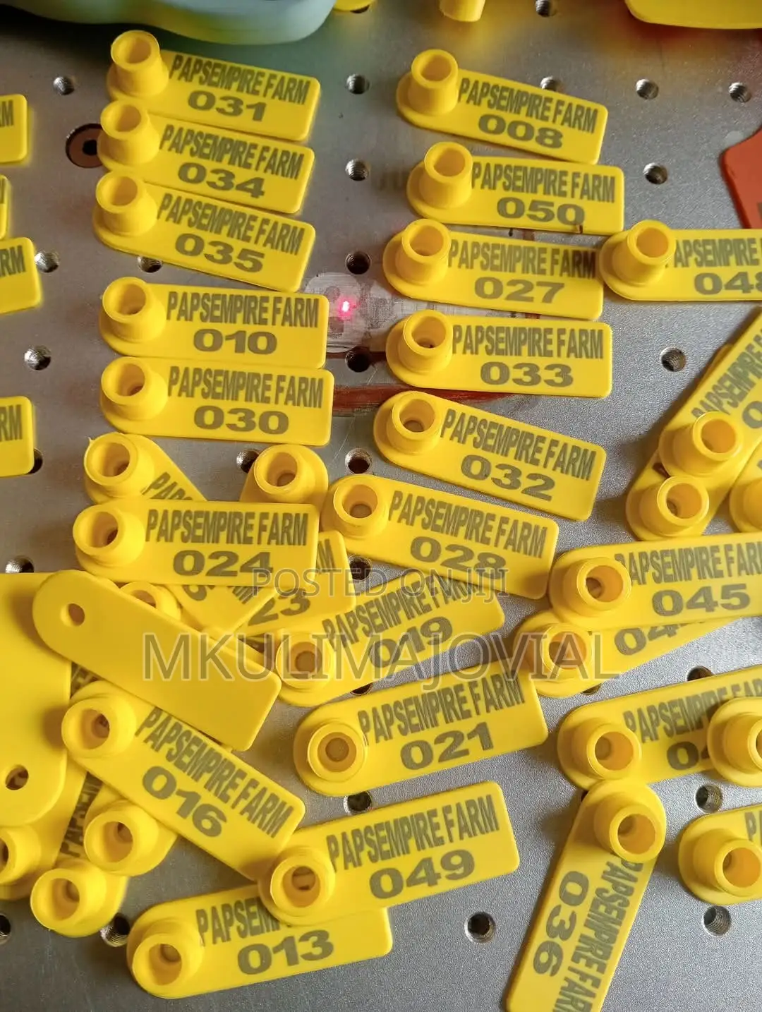 Name and Number Customized Ear Tags