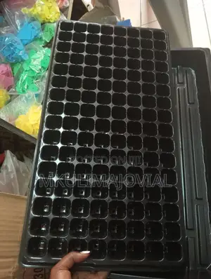 Seedling Trays