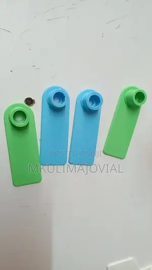 Plain Slim Ear Tags Ear Tags for Sheep/Goat /Pigs