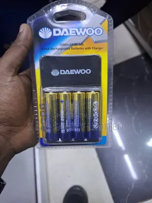 Daewoo Charger Plus 4 AA Rechargeable Batteries