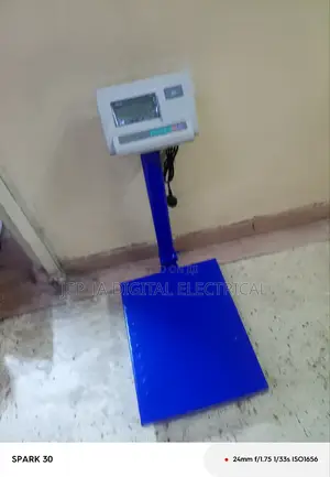 Digital Weighing Scale A12 ,300kgs