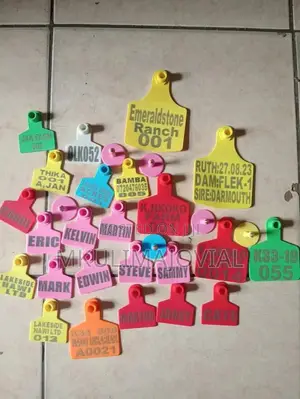 All Size/Colors Custom Ear Tags