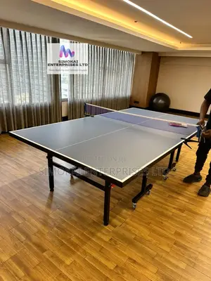 Foldable Semi Commercial Table Tennis