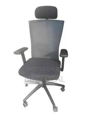 Orthopedic Chair
