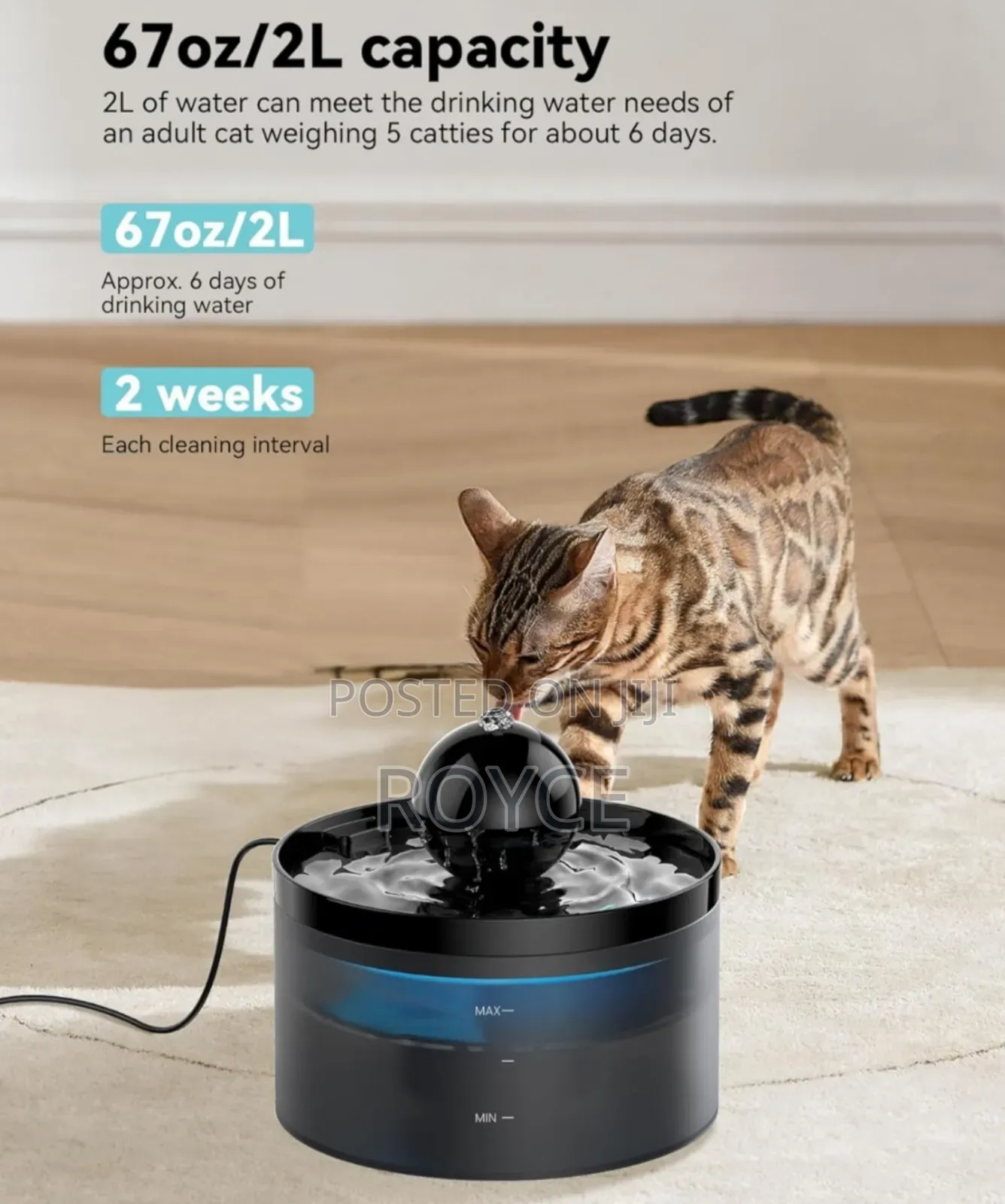 Pet Water Fountain-2l