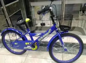 Lion King Bike Size 12