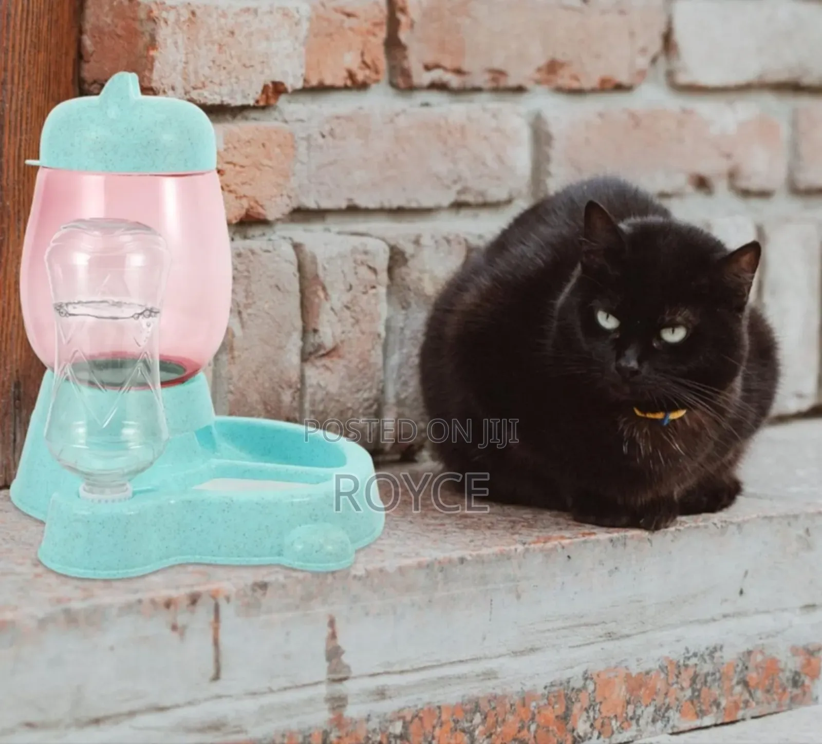 Automatic Pet Food Dispenser