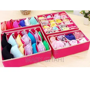 4in1 Under Garments Organizer Now Available at 