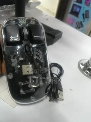 Wireless /Bluetooth Wireless Rechargeable Mouse