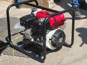 Wl20xy Heavy-Duty Water Transfer Pump