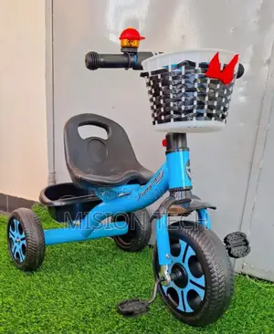 Tricycle With Basket 