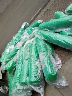 Scaffolding Net