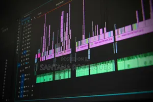 Professional Youtube Video Editor