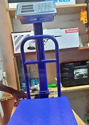 300kg Platform Scale Small Base With Guard