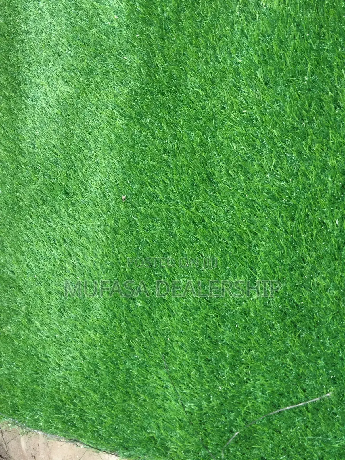 Indoor/Outdoor Decorative Grass