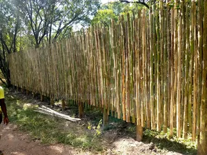 Sisal Poles Fencing Dealers