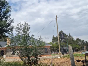 High-Grade Eighth Acre Plots at Kasuku