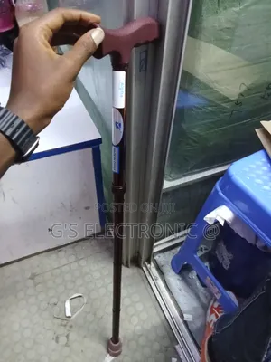 Walking Stick/Walking Stick