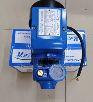 Powerful Maxpolar Booster Pump 0.5hp