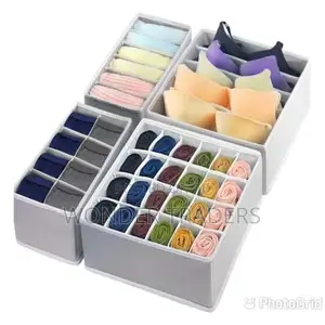 4 in 1 UNDERGARMENT ORGANIZER