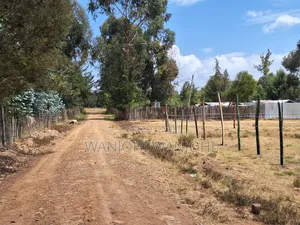 Buy Build Prime Plots
