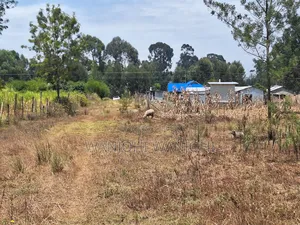 Secure Top Tier Oljoroork Plots