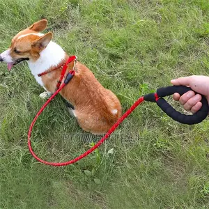 Leash, Dog Leash