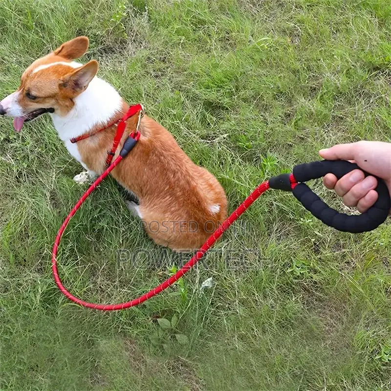 Leash, Dog Leash