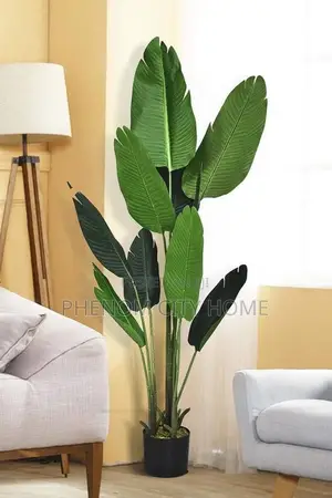 Decorative Green Banana Plants