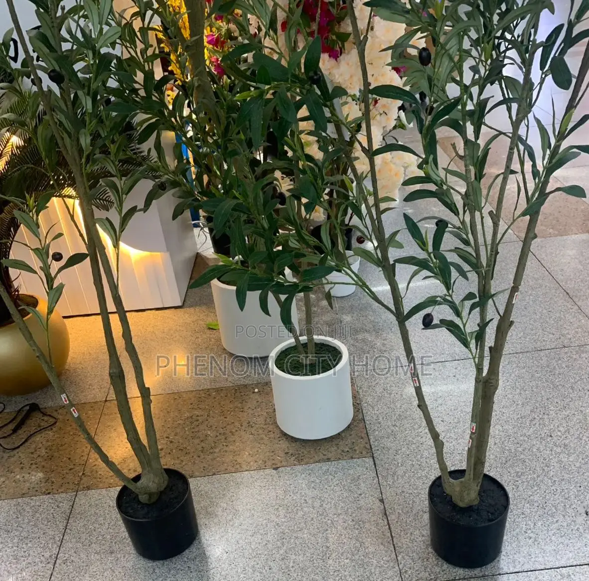 Decorative Artificial Olive Plants