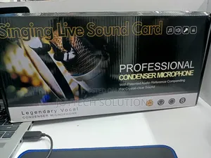 Professional Recording Microphone