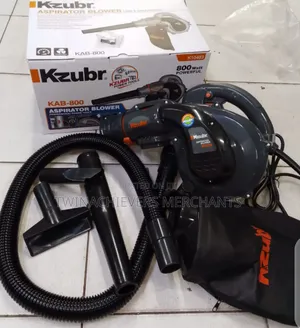Powerful Electric Dust Blower/800w Electric Dust Blower