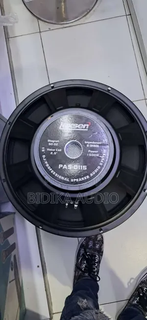 High Quality Lexsen Naked Speaker Pas-0115