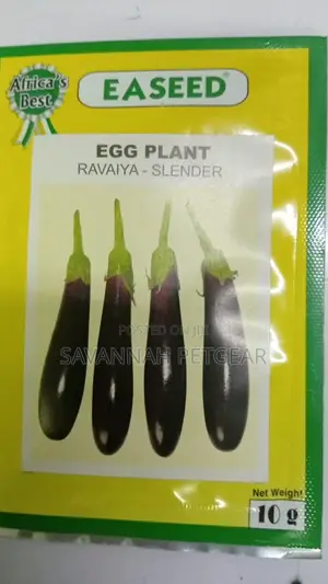 PURPLE EGGPLANT SEEDS - 10 Grams
