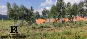 Quick Sale- Prime Plot In Gitutha, Kamangu, Kikuyu Area