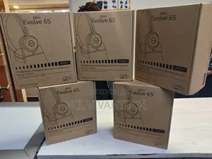 Jabra Evolve 65 Wireless Headset With Stand