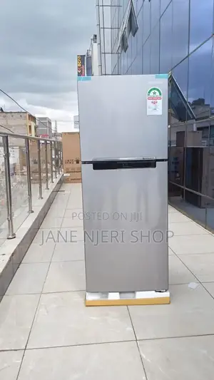 Samsung 234 Liters Double Door Fridge Non Frost
