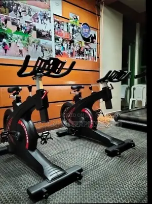 Commercial Spin Bike Magnetic 20kg Flywheel