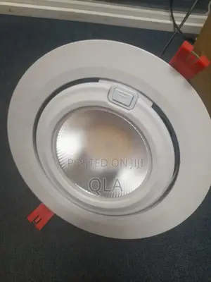 Wallwasher Downlighter 50w