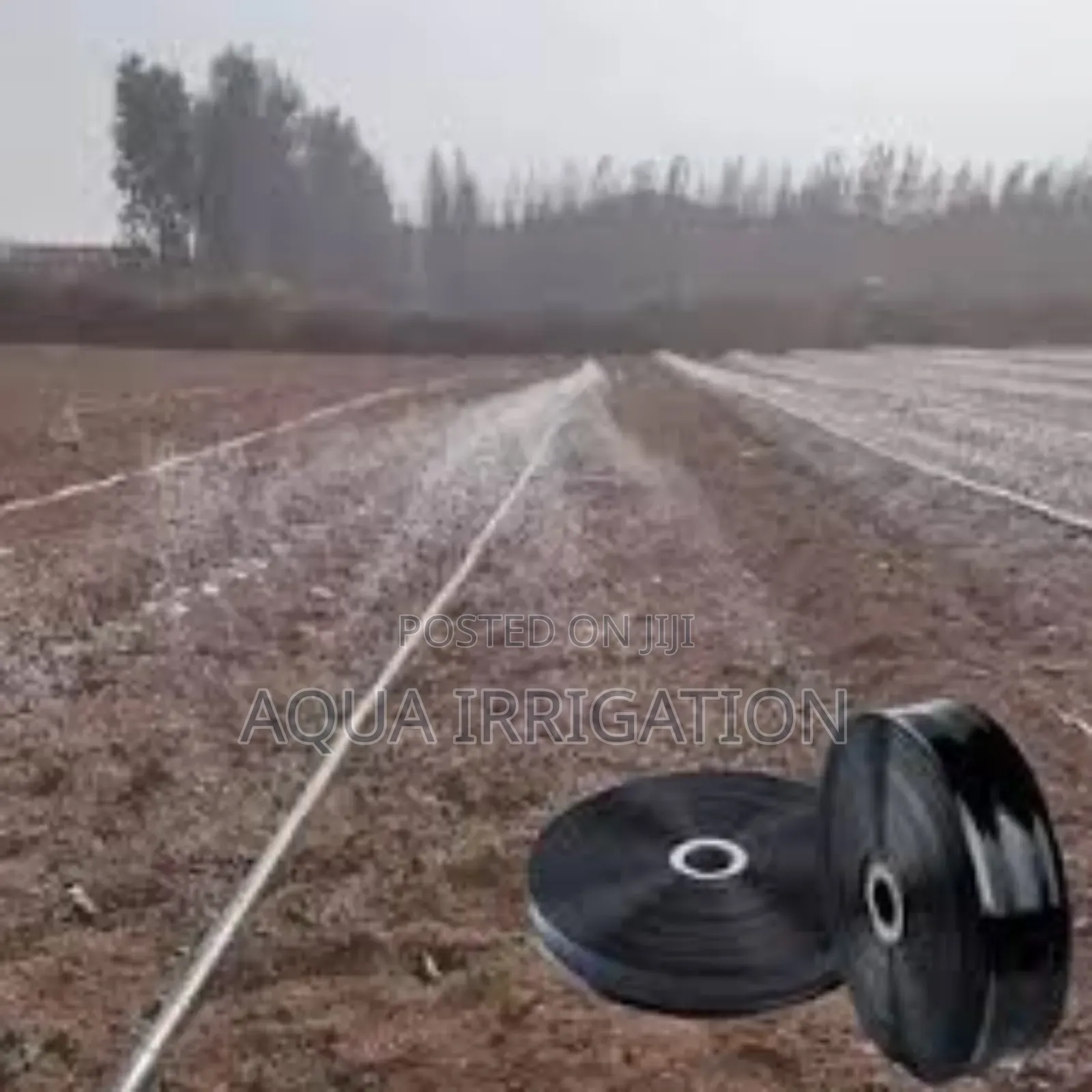 Efficient Irrigation With Rain Horse Systems!