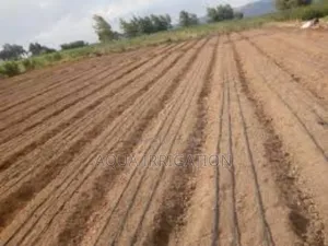 Save Water, Boost Yields – Rain Horse Delivers!