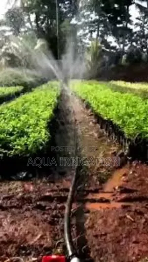 Better Crops, Less Water – Rain Horse Works!